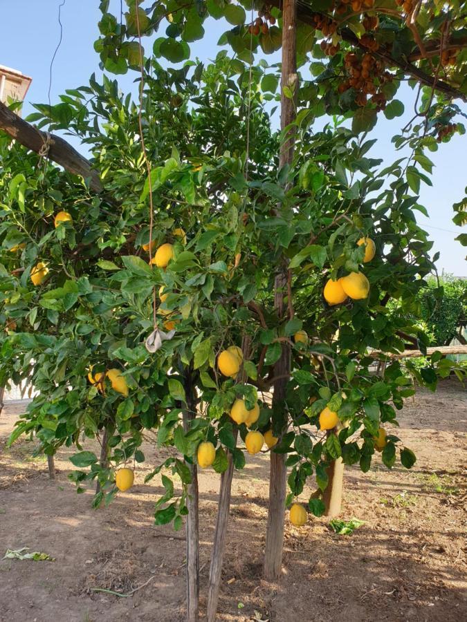 מסה לוברנסה Casa Vacanze Il Frutteto מראה חיצוני תמונה